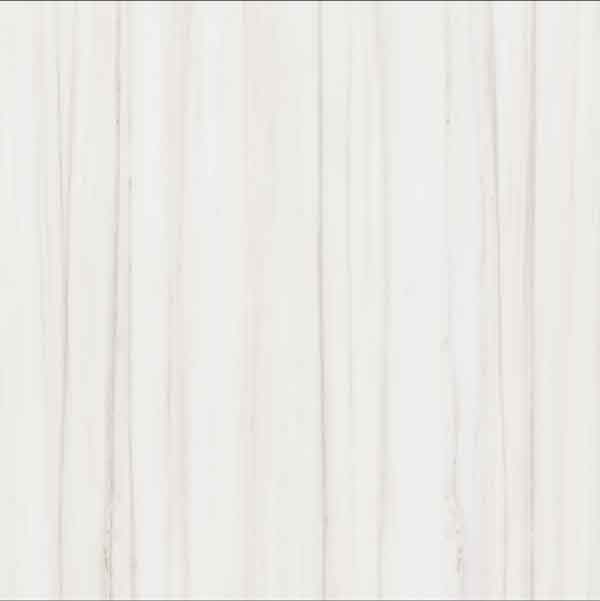 SGMT-6007